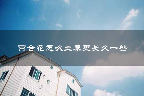 百合花怎么土养更长久一些